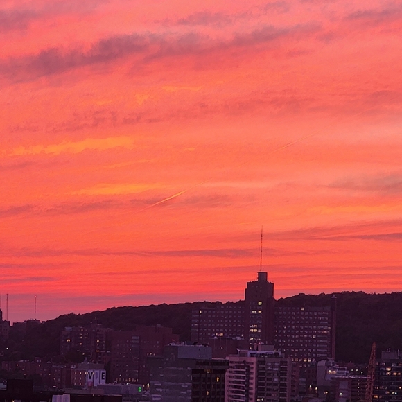 Meet your Posher, Fany - Picture 6 of 14